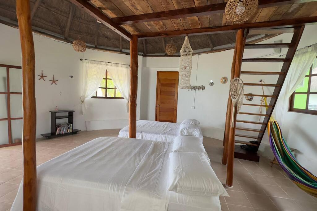 Appartement Luigi's Glamping Bacalar